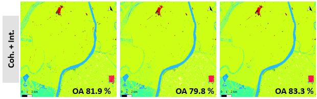 Land Cover classification results using SAR Intensity combined with Interferometric coherence data